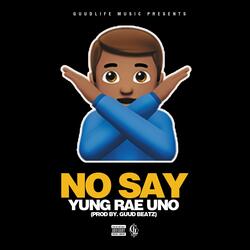 No Say