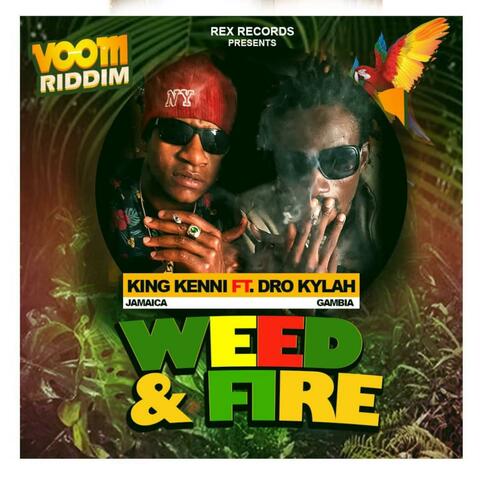 Weed & Fire (feat. Dro Kylah)