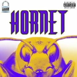 Hornet