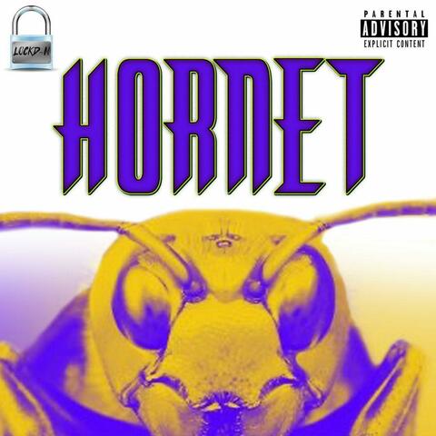 Hornet