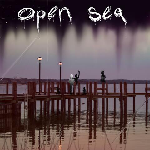 Open Sea (1171)