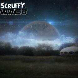 Waco 51