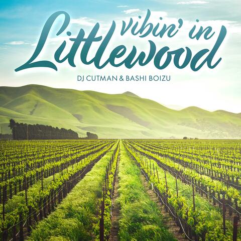 Vibin' in Littlewood (feat. BASHI BOIZU)