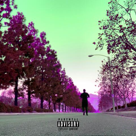 Haven Ave.
