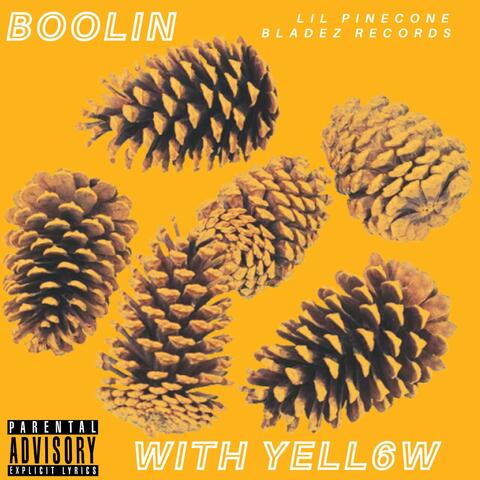 BOOLIN WITH YELL6W