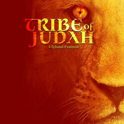 Lion Of The Tribe Of Judah
