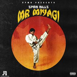 MR MIYAGI