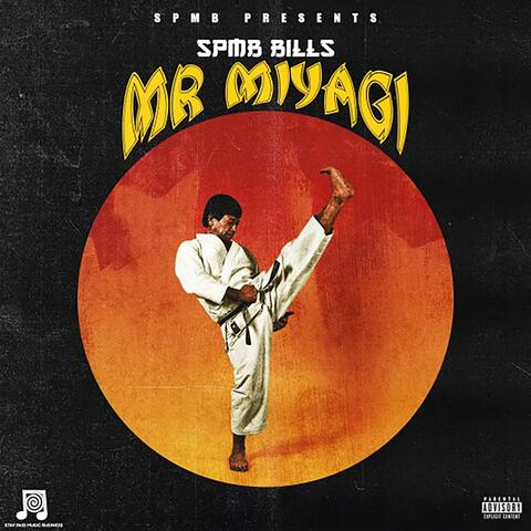 MR MIYAGI