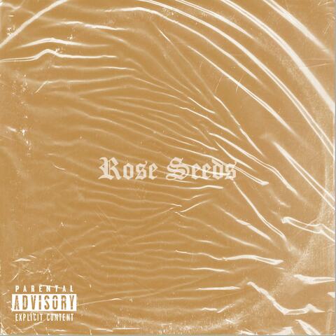 Rose Seeds