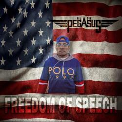 Freedom Of Speech