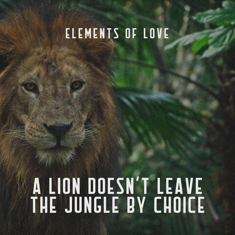 A lion doesn't leave the jungle by choice.