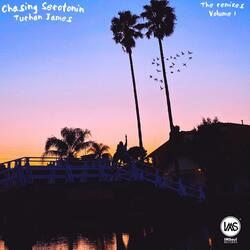 Chasing Serotonin (Talal Qureshi Remix)