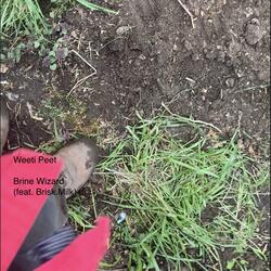 Brine Wizard (feat. Brisk.Milk)