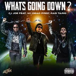 What's Going Down? (feat. M1 Dead Prez & Ras Tariq)
