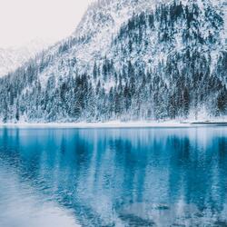 Drink Of The Morning After