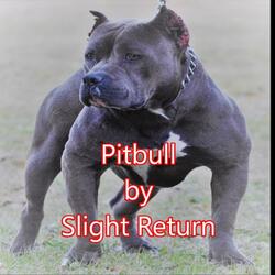 Pitbull