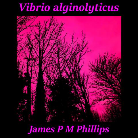 Vibrio alginolyticus