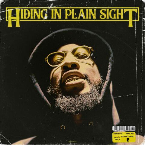 Hiding in Plain Sight