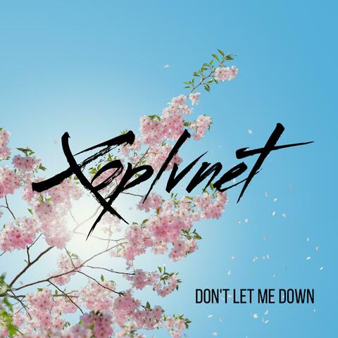 Don't Let Me Down