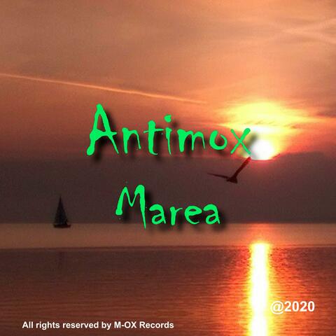 Marea
