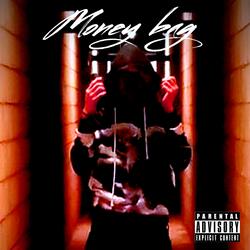 Money bag