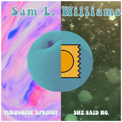 Turquoise Apricot / She Said No