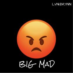 BiG MaD