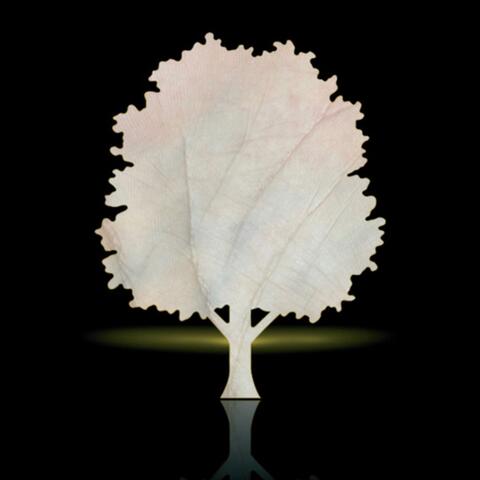 Piel de Roble
