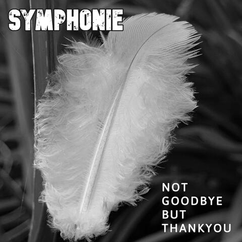 Not Goodbye But Thankyou
