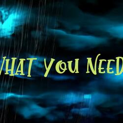 What You Need