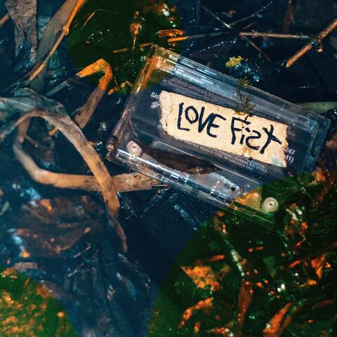 Love Fist
