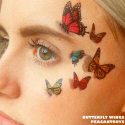 Butterfly Wings