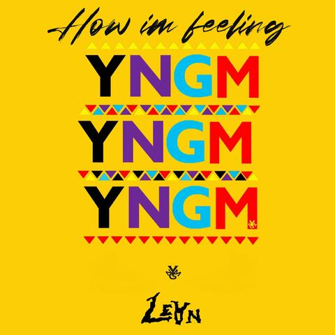 How I'm feeling (feat. Bow & Prince of the bity)