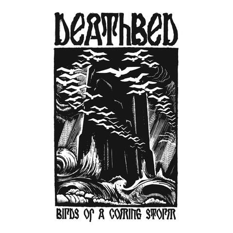 Birds of a Coming Storm