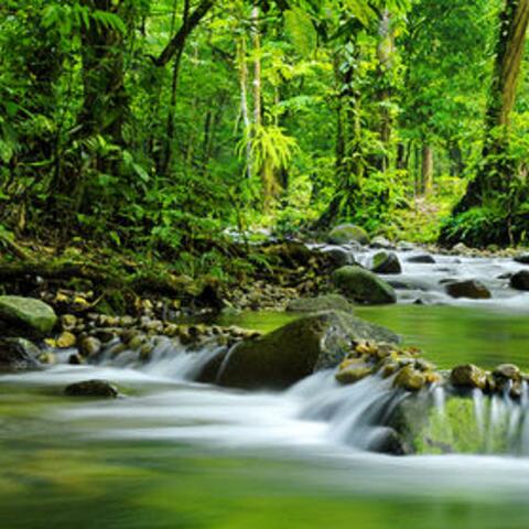 Rivers of Joy (feat. EyeAm Camino)