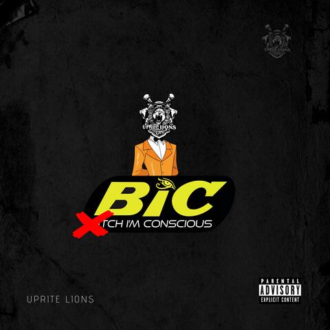 Bic (Bitch I'm Conscious)