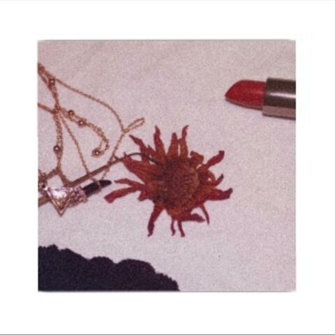 Dead Petals of a Dahlia