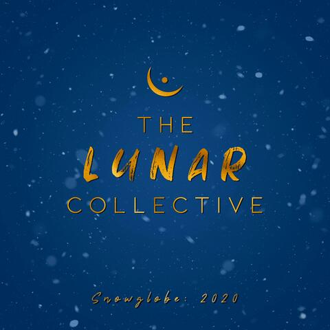 Snowglobe: 2020
