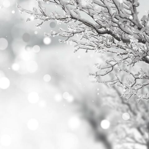 O Holy Night