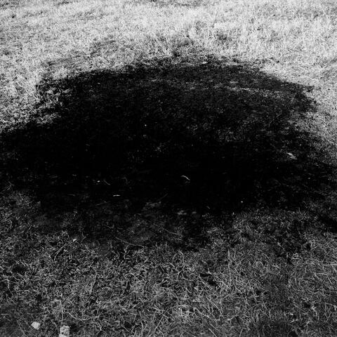 Untitled0 (feat. null)