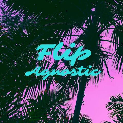 Flip