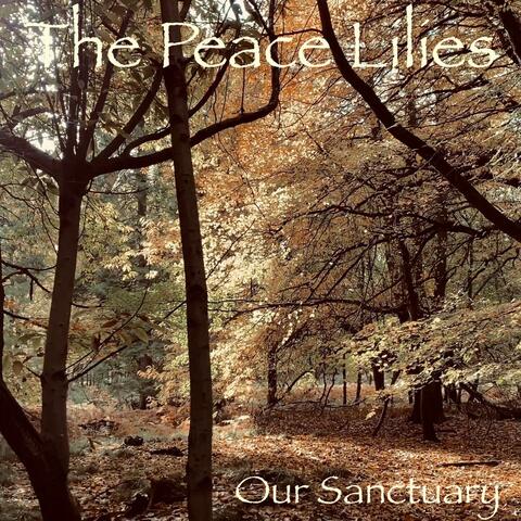 Our Sanctuary