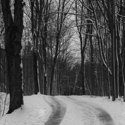winter without u
