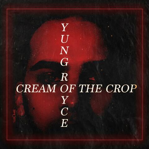 Cream of the Crop