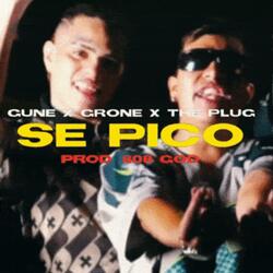 Se picó (feat. grone & theplug)