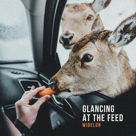 Glancing at the Feed