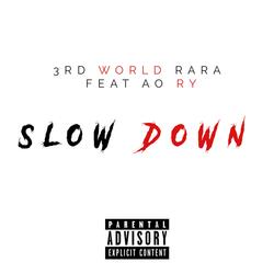 Slow Down (feat. AO RY)