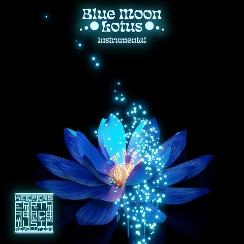Blue Moon Lotus