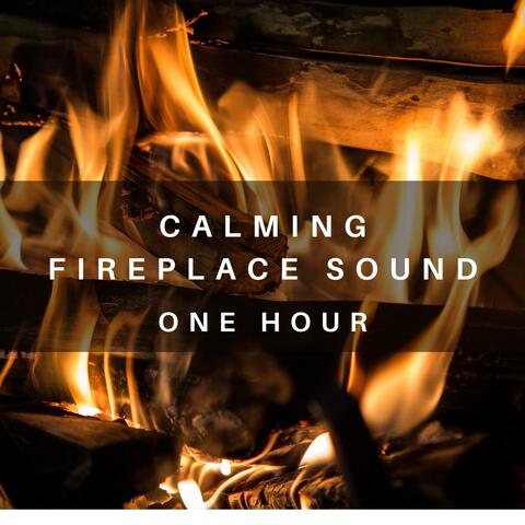 One Hour Fireplace Sound, Calming, Relaxing