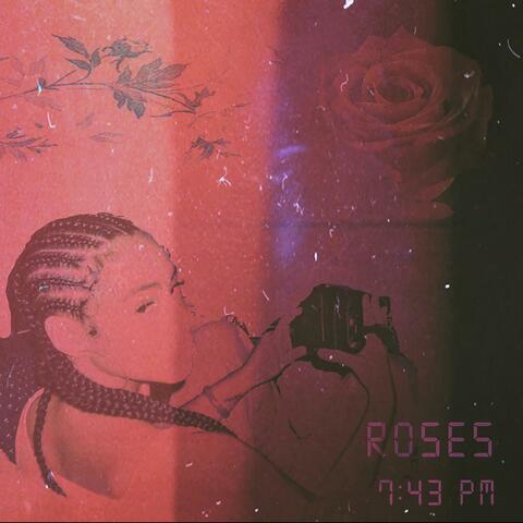 Roses 743